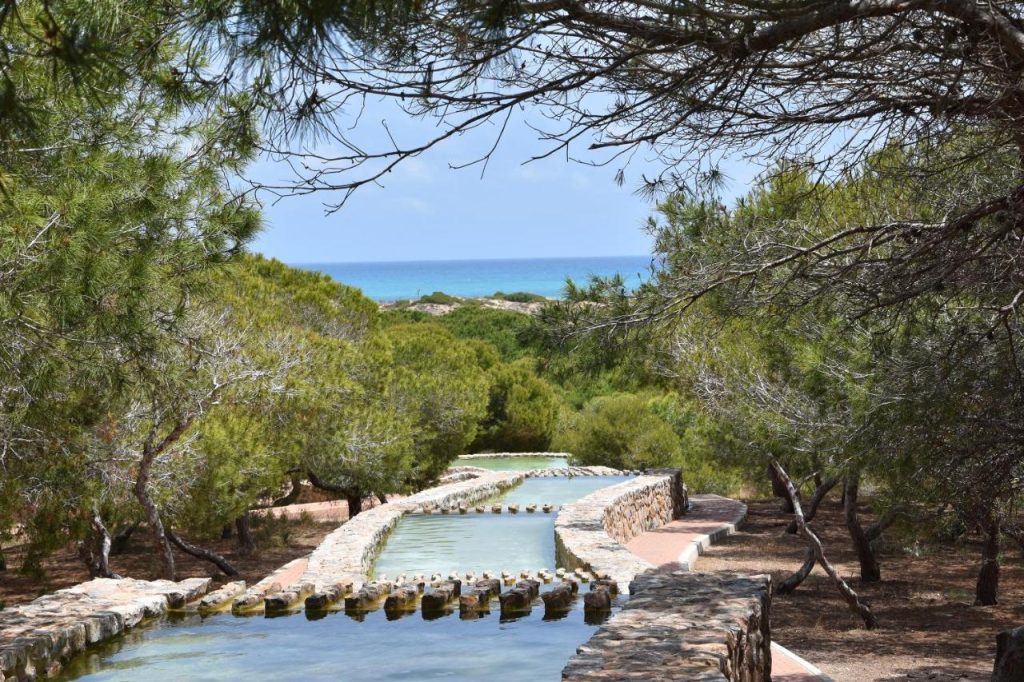 Park Solankowy La Mata — różowe jezioro u Twoich stóp